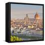 Italy, Italia. Tuscany, Toscana. Firenze District. Florence, Firenze. Duomo Santa Maria Del Fiore-Francesco Iacobelli-Framed Stretched Canvas