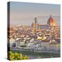 Italy, Italia. Tuscany, Toscana. Firenze District. Florence, Firenze. Duomo Santa Maria Del Fiore-Francesco Iacobelli-Stretched Canvas