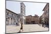 Italy, Italia. Tuscany, Toscana. Lucca district. Lucca. San Michele, church-Francesco Iacobelli-Mounted Photographic Print