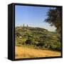 Italy, Italia. Tuscany, Toscana. Siena district, Val d'Elsa, San Gimignano.-Francesco Iacobelli-Framed Stretched Canvas