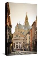 Italy, Italia. Veneto. Padova district. Padua, Padova. Basilica of St Anthony, Basilica di Sant'Ant-Francesco Iacobelli-Stretched Canvas