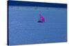 Italy, Lake Garda, Sailboat, Northern Italy, South Tirol, Lake, Waters, Boat, Sailing, Surfer-Chris Seba-Stretched Canvas