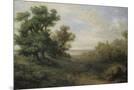 Wood Mount