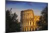 Italy, Lazio, Rome, the Colosseum-Jane Sweeney-Mounted Photographic Print