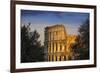 Italy, Lazio, Rome, the Colosseum-Jane Sweeney-Framed Photographic Print