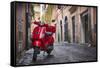 Italy, Lazio, Rome, Trastevere, Red Vespa-Jane Sweeney-Framed Stretched Canvas