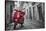 Italy, Lazio, Rome, Trastevere, Red Vespa-Jane Sweeney-Stretched Canvas