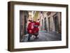 Italy, Lazio, Rome, Trastevere, Red Vespa-Jane Sweeney-Framed Photographic Print