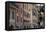 Italy, Liguria Province, Santa Margherita Ligure, pastel buildings-Alan Klehr-Framed Stretched Canvas