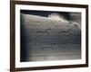 Italy, Lombardy, Camonica Valley, Petroglyphs on Rock-null-Framed Giclee Print