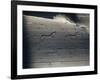 Italy, Lombardy, Camonica Valley, Petroglyphs on Rock-null-Framed Giclee Print