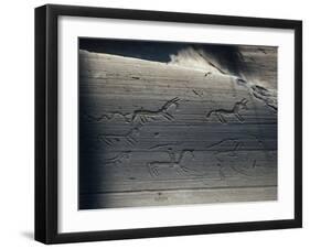 Italy, Lombardy, Camonica Valley, Petroglyphs on Rock-null-Framed Giclee Print