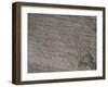 Italy, Lombardy, Camonica Valley, Petroglyphs on Rock-null-Framed Giclee Print
