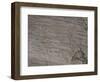 Italy, Lombardy, Camonica Valley, Petroglyphs on Rock-null-Framed Premium Giclee Print