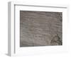 Italy, Lombardy, Camonica Valley, Petroglyphs on Rock-null-Framed Premium Giclee Print