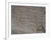 Italy, Lombardy, Camonica Valley, Petroglyphs on Rock-null-Framed Giclee Print