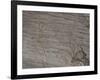 Italy, Lombardy, Camonica Valley, Petroglyphs on Rock-null-Framed Giclee Print