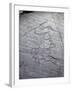 Italy, Lombardy, Camonica Valley, Petroglyphs on Rock-null-Framed Giclee Print