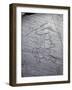 Italy, Lombardy, Camonica Valley, Petroglyphs on Rock-null-Framed Giclee Print