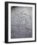 Italy, Lombardy, Camonica Valley, Petroglyphs on Rock-null-Framed Giclee Print