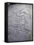 Italy, Lombardy, Camonica Valley, Petroglyphs on Rock-null-Framed Stretched Canvas