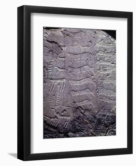 Italy, Lombardy, Camonica Valley, Petroglyphs on Rock-null-Framed Premium Giclee Print