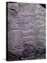 Italy, Lombardy, Camonica Valley, Petroglyphs on Rock-null-Stretched Canvas