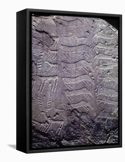 Italy, Lombardy, Camonica Valley, Petroglyphs on Rock-null-Framed Stretched Canvas