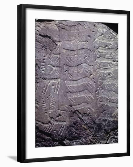 Italy, Lombardy, Camonica Valley, Petroglyphs on Rock-null-Framed Giclee Print