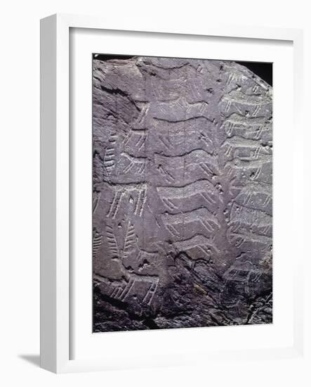 Italy, Lombardy, Camonica Valley, Petroglyphs on Rock-null-Framed Giclee Print