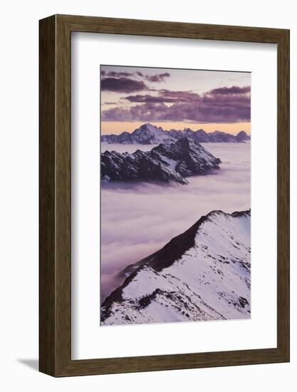 Italy, Lombardy, Stilfser Joch National Park, View from Monte Scorluzzo, Cresta Di Reit-Rainer Mirau-Framed Photographic Print