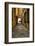 Italy, Lucca, alleyway-George Theodore-Framed Photographic Print