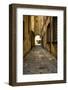 Italy, Lucca, alleyway-George Theodore-Framed Photographic Print