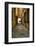 Italy, Lucca, alleyway-George Theodore-Framed Photographic Print