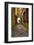 Italy, Lucca, alleyway-George Theodore-Framed Photographic Print