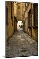 Italy, Lucca, alleyway-George Theodore-Mounted Photographic Print