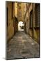 Italy, Lucca, alleyway-George Theodore-Mounted Photographic Print