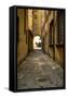 Italy, Lucca, alleyway-George Theodore-Framed Stretched Canvas