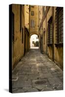 Italy, Lucca, alleyway-George Theodore-Stretched Canvas