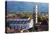 Italy, Lucca, Duomo di San Martino and its Tower.-Terry Eggers-Stretched Canvas