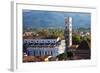 Italy, Lucca, Duomo di San Martino and its Tower.-Terry Eggers-Framed Photographic Print