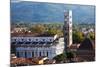Italy, Lucca, Duomo di San Martino and its Tower.-Terry Eggers-Mounted Photographic Print
