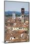 Italy, Lucca. Overview of village.-Jaynes Gallery-Mounted Photographic Print