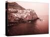 Italy, Manarola. Infrared image of the town.-Terry Eggers-Stretched Canvas