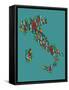 Italy Map 2-Mark Ashkenazi-Framed Stretched Canvas