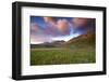 Italy, Marche, Sibillini National Park, Plain of Castelluccio Di Norcia-Luca Giustozzi-Framed Photographic Print