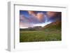 Italy, Marche, Sibillini National Park, Plain of Castelluccio Di Norcia-Luca Giustozzi-Framed Photographic Print