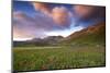 Italy, Marche, Sibillini National Park, Plain of Castelluccio Di Norcia-Luca Giustozzi-Mounted Photographic Print