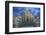 Italy, Milan, Cathedral Duomo di Milano at Dawn-Rob Tilley-Framed Photographic Print