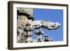 Italy, Milan, Cathedral, Gothic, Exterior, Gargoyle, Fanastic Animal-null-Framed Giclee Print